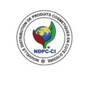 Icône du site ndpc-ci.com